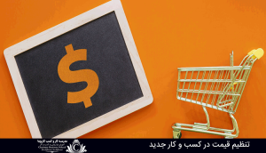 تنظیم قیمت در کسب و کار