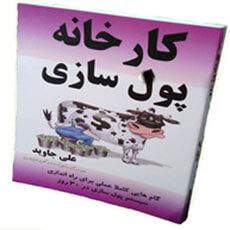 کتاب کارخانه پولسازی