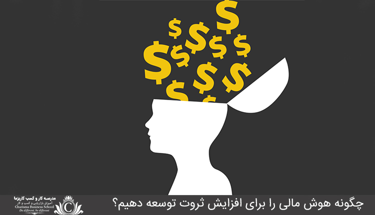 چگونه هوش مالي را براي افزايش ثروت توسعه دهيم؟