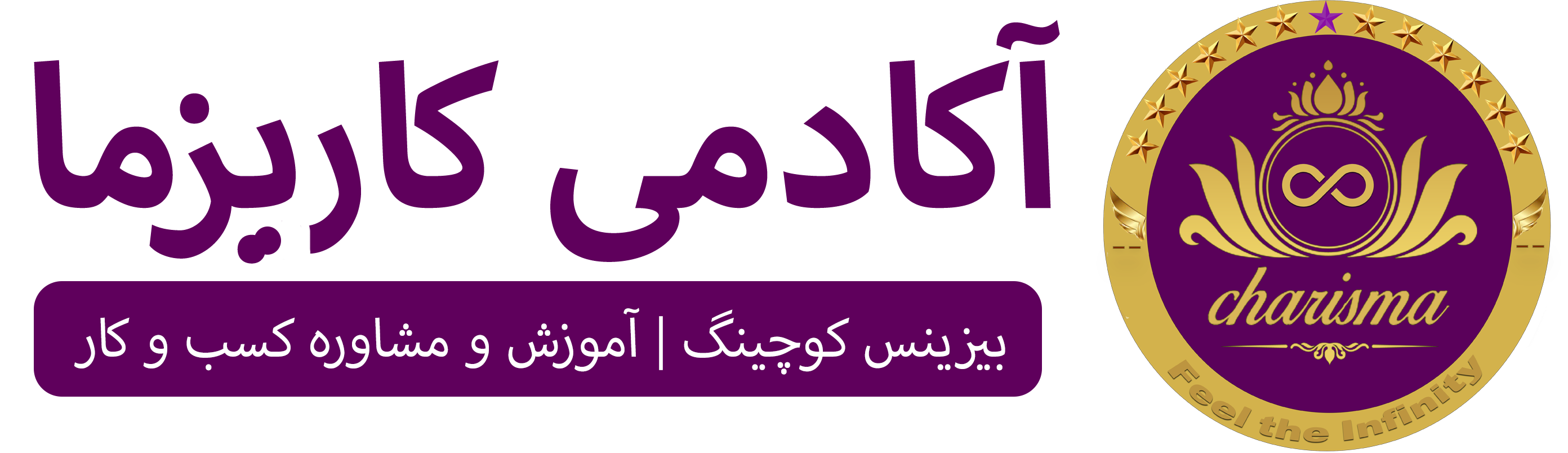 آکادمی کاریزما | مدرسه کسب و کار کاریزما | آموزش بازاریابی و کسب و کار